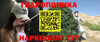 дурь Ставрополь