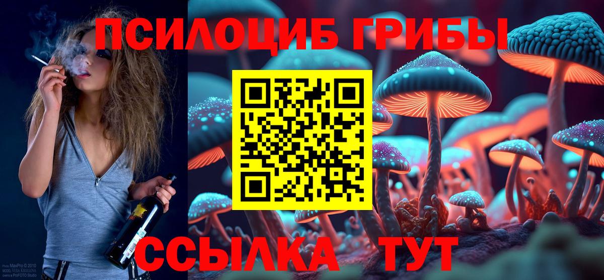 Галлюциногенные грибы GOLDEN TEACHER Рубцовск