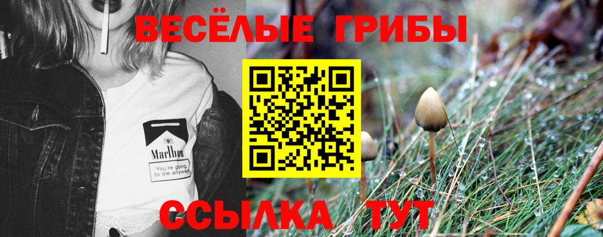 Галлюциногенные грибы ЛСД  Псилоцибиновые грибы Cubensis  Рубцовск  Вход с VPN 